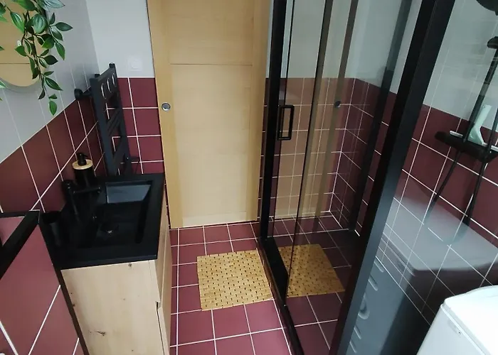 Logis Cosy Du Centre 艾克斯莱班